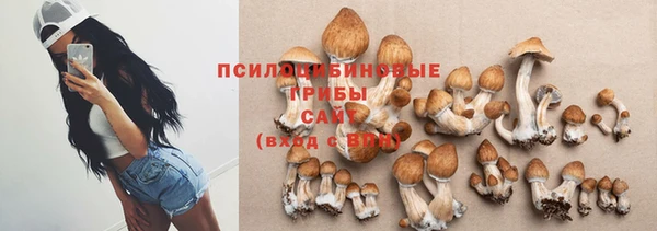шишки Алзамай