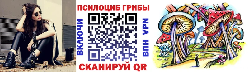 Псилоцибиновые грибы Magic Shrooms  omg сайт  Шебекино 