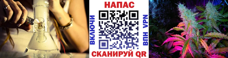 Каннабис сатива  купить наркоту  Шебекино 